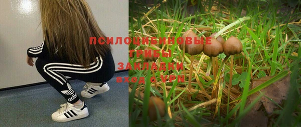марки nbome Абаза