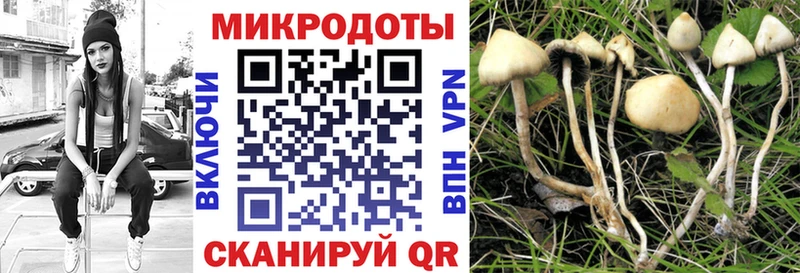 купить наркотики сайты Нягань Псилоцибиновые грибы Psilocybe