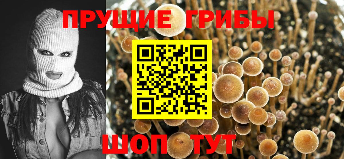Псилоцибиновые грибы GOLDEN TEACHER  Вход с VPN  Нягань 